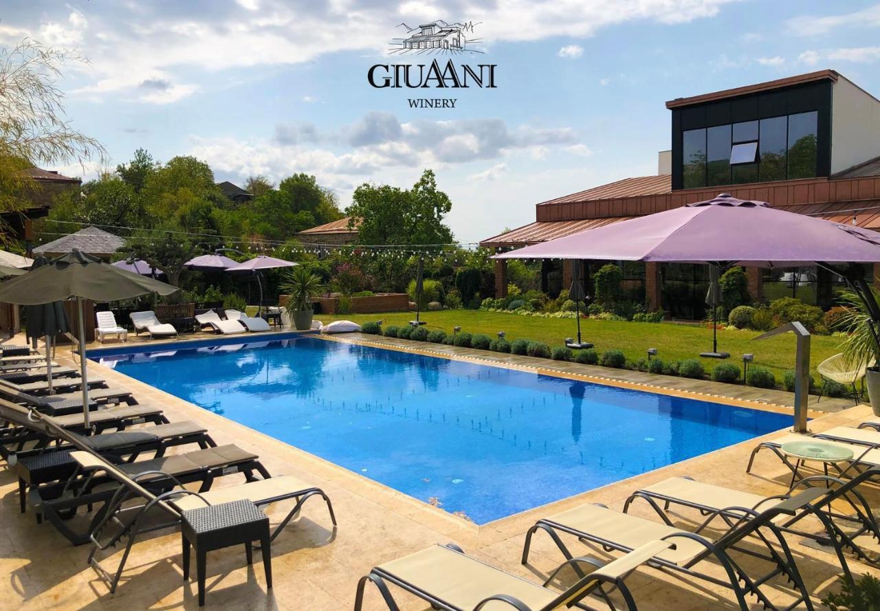 Hotel Giuaani Winery à Manavi Extérieur photo